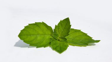 garnishing-instructions-image